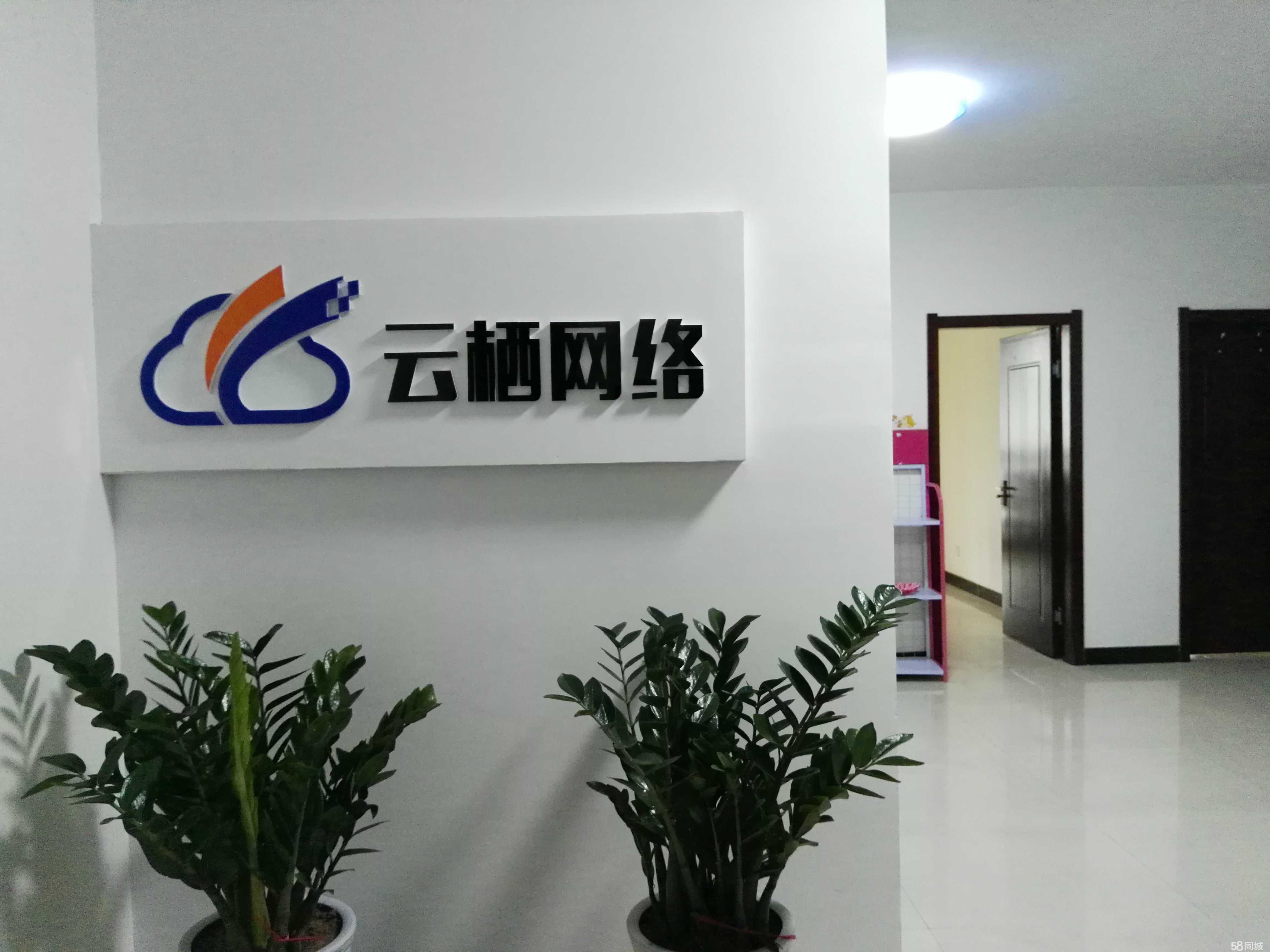 河南云栖网络科技 科技赋能中原，云起新生机